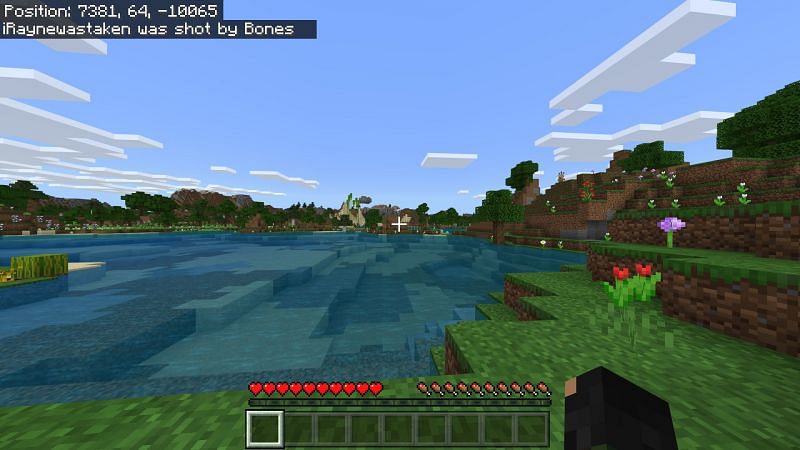 Minecraft Name Wiki Guide All You Need To Know