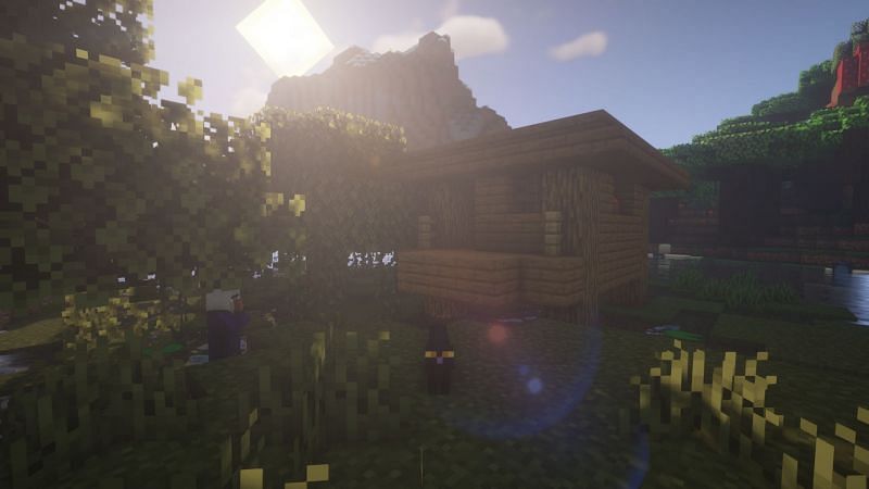 A cat found at a swamp hut (Image via Minecraft)