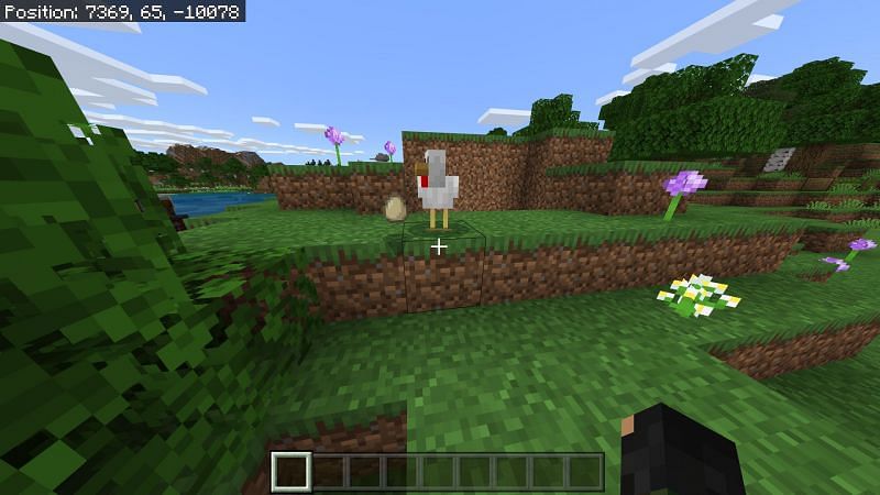 minecraft chicken