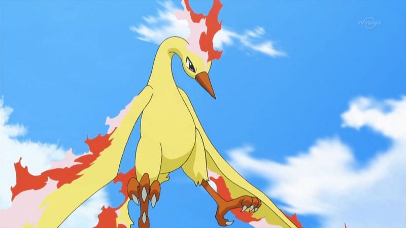 Random Pokemon Bot on X: Moltres Ability: Pressure Moves: Frustration,  Razor Wind, Flamethrower, Swift #pokemon #Moltres   / X