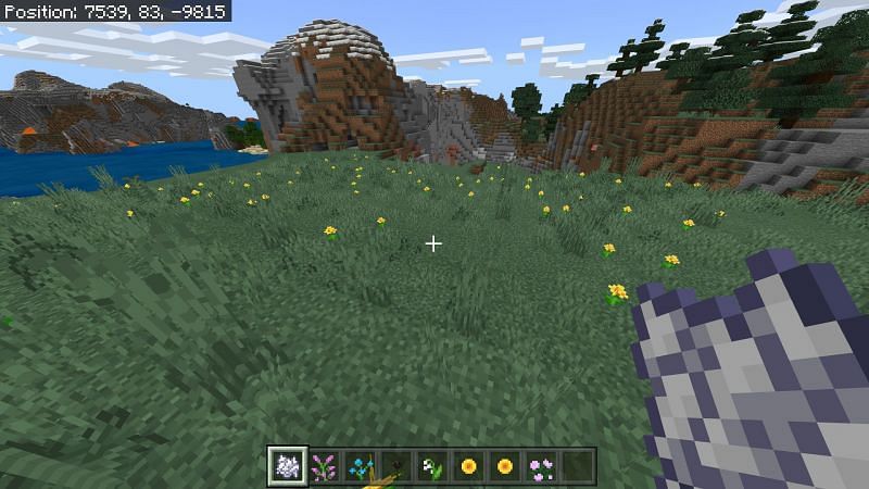 Flower field in Minecraft