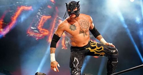 AEW star Rey Fenix is one-half of the AAA World tag team champion