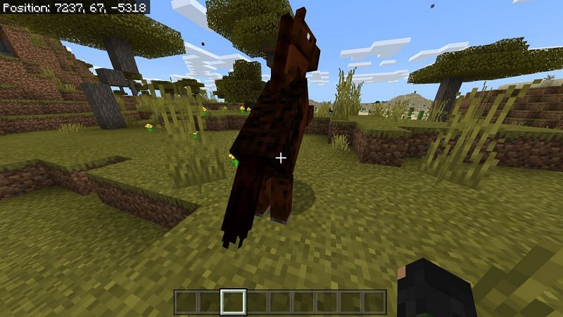 Minecraft Horse