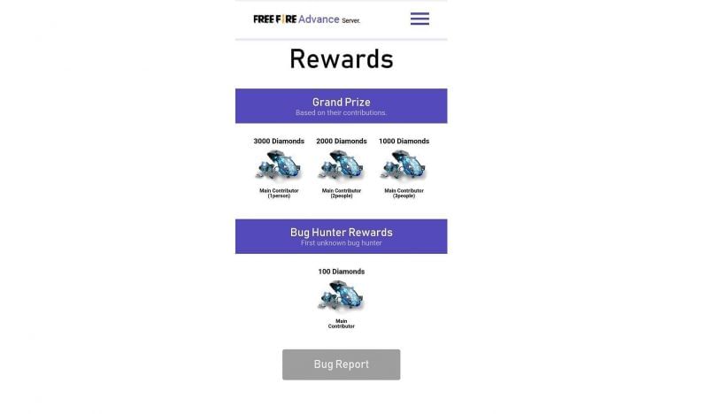 Bug Report rewards