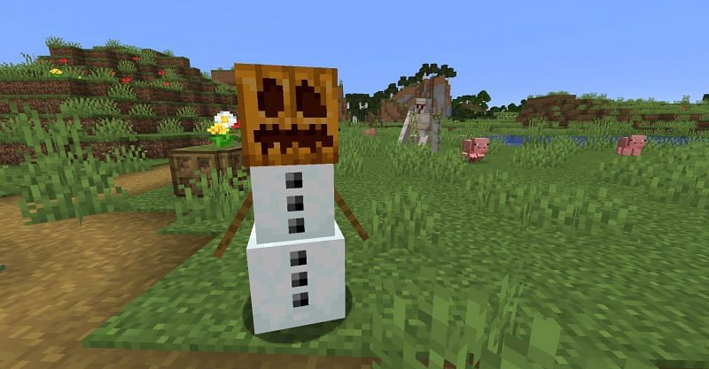 A Snow Golem near an Iron Golem in Minecraft (Image via Minecraft)