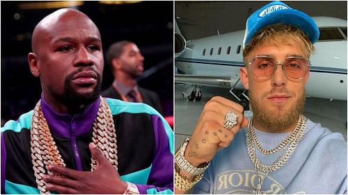 Floyd Mayweather tore into Jake Paul's persona recently