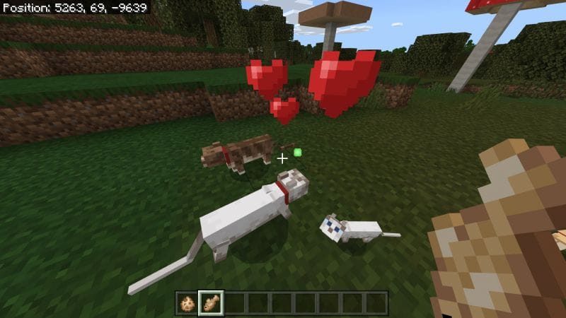 How To Get Cats In Minecraft Breeding Taming More How To Get Cats In Minecraft Breeding Taming More