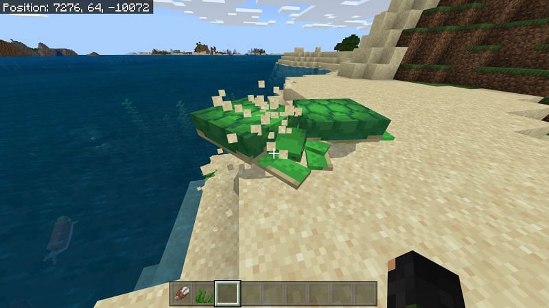 Minecraft turtles laying eggs