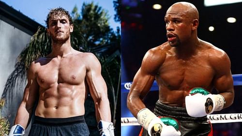 Logan Paul fancies his chances against Floyd Mayweather