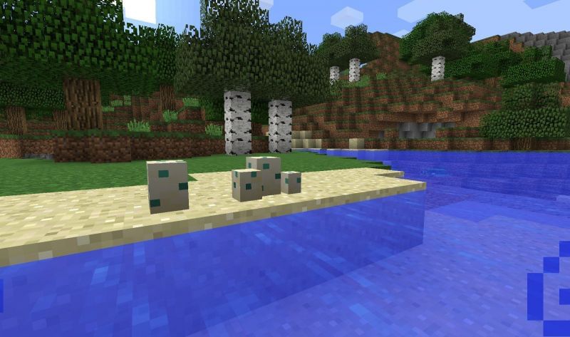 Turtle eggs (Image via Minecraft)