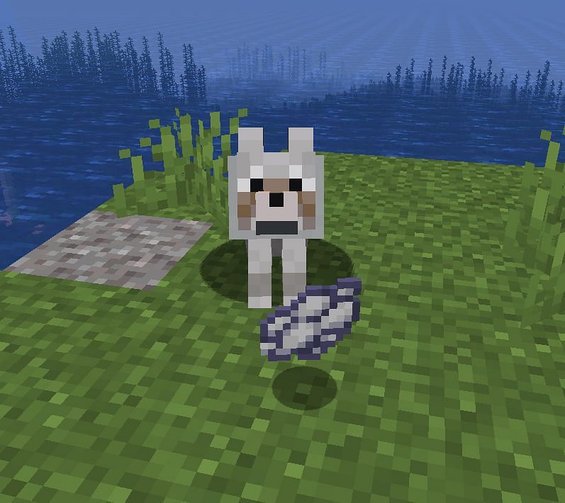 Image via Minecraft