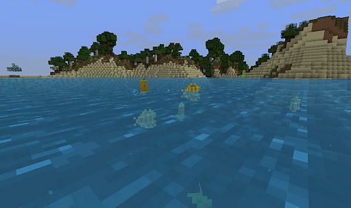 The ocean is an extremely common biome within Minecraft.