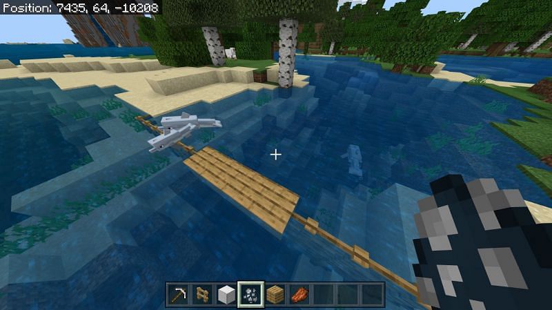 Taming a dolphin in MInecraft