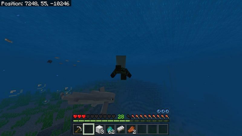 Minecraft Dolphin