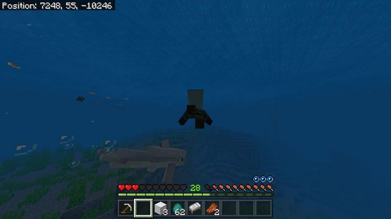 minecraft dolphin hack wurst 1.12.2