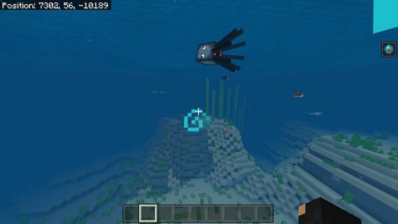 Minecraft Squid