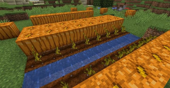 Top 5 uses for Pumpkins in Minecraft