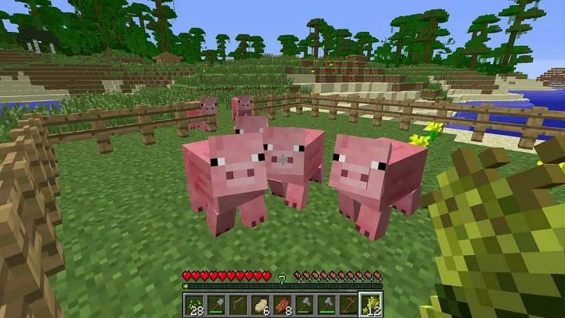 How breeding pigs in Minecraft works
