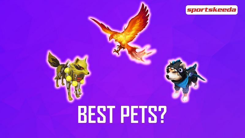 Pets play a major role in helping players climb up the ranks in Free Fire (Image via Sportskeeda)