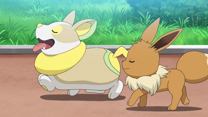 Yamper and Eevee (Image via The Pokemon Company)