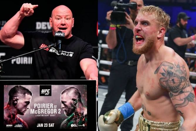 Jake Paul reacts to Dana White's comments, campaigns for a boxing fight against the UFC president