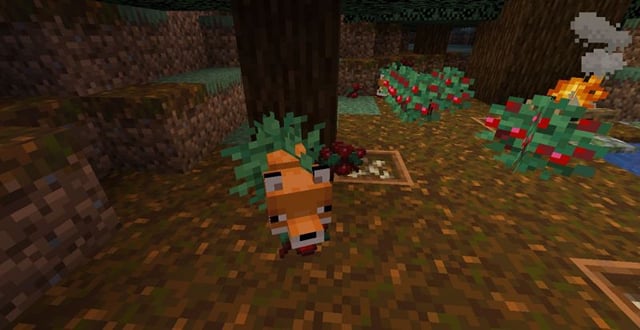 Minecraft Fox Update Where to find and tame foxes in Minecraft?