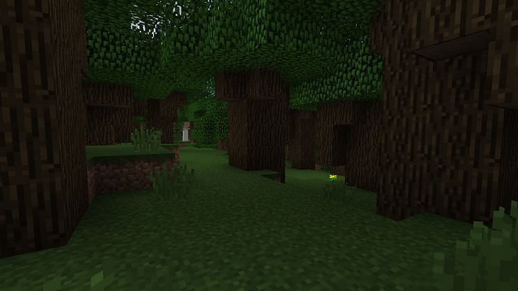 Dark Oak Logs (Image via Minecraft)