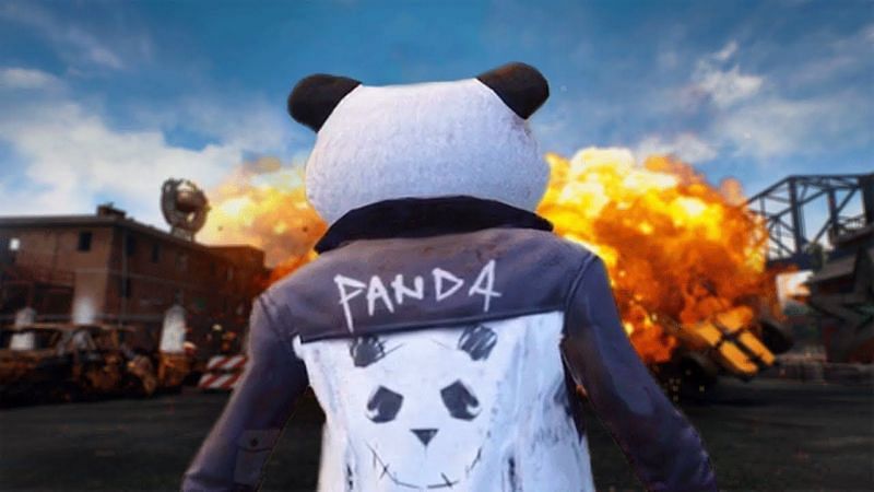 Panda [Image Via YouTube]