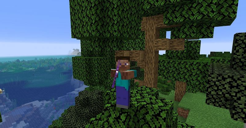 Steve standing on top of a tree with his trusty enchanted bow. (Image via Minecraft)