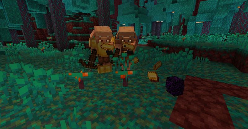 Two piglins distracted by golden ingots (Image via Minecraft)