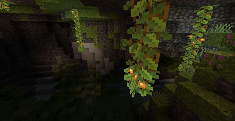 Glowing Berries in Lush Caves(Image via Minecraft)