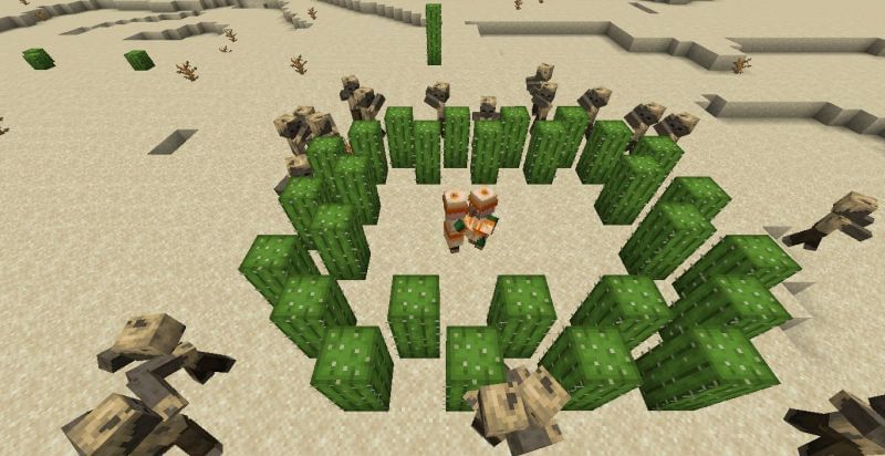 animated cactus in minecraft