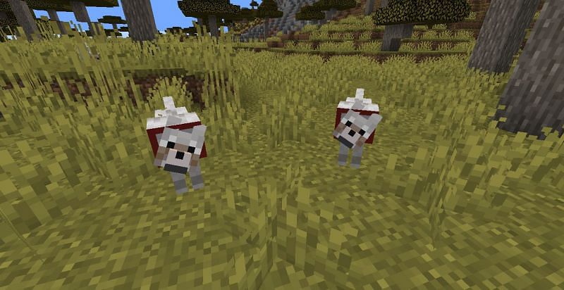 Top 5 uses of rotten flesh in Minecraft 