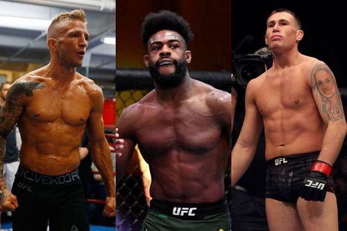 Aljamain Sterling was accused of acting at UFC 259 by a number of UFC fighters