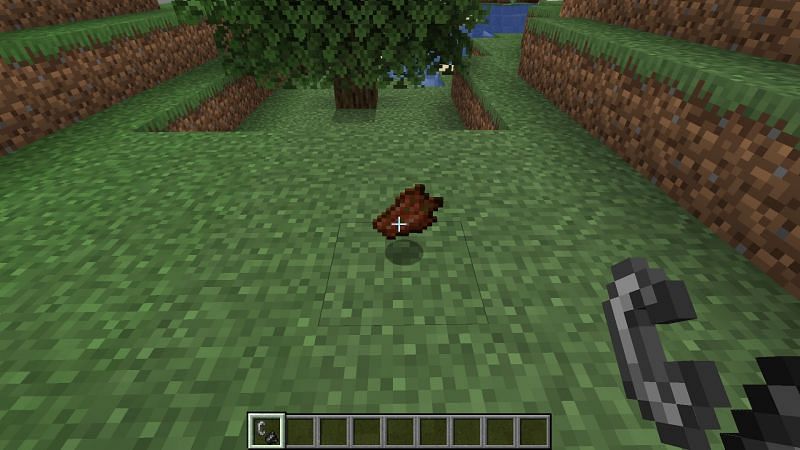 Is this right? (Image via Minecraft)