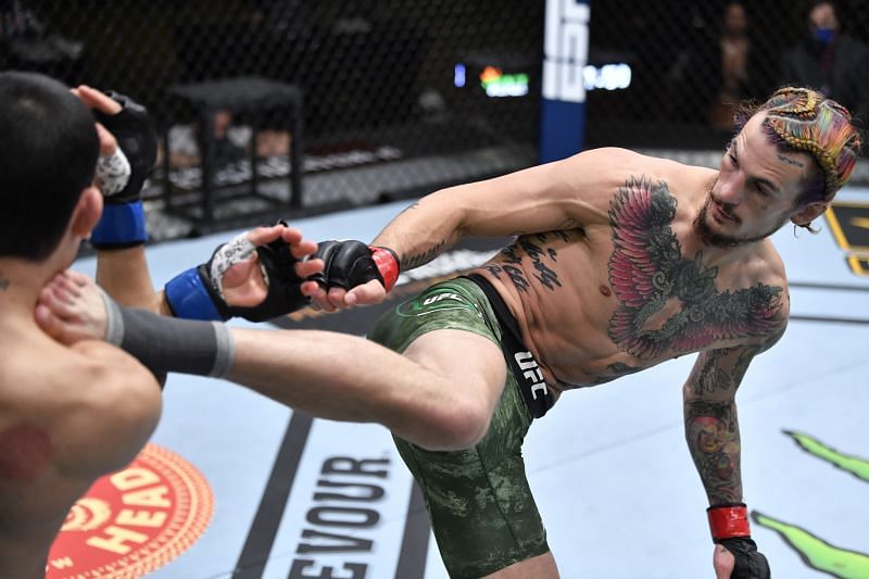 Sean O&#039;Malley picked up his fifth UFC win at UFC 260 by beating Thomas Almeida