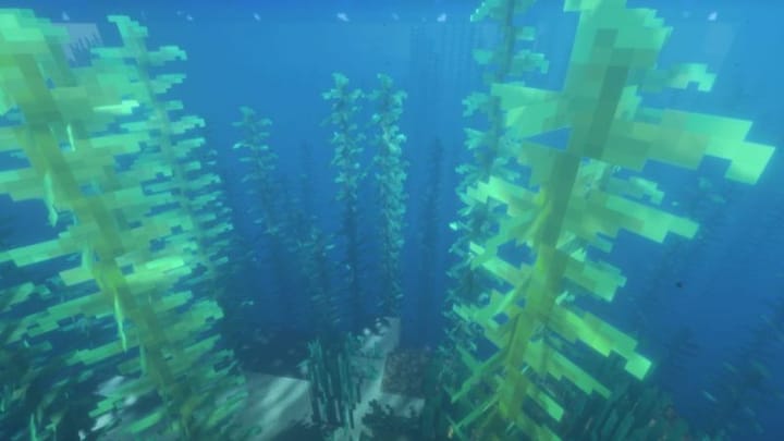 Minecraft sponge room