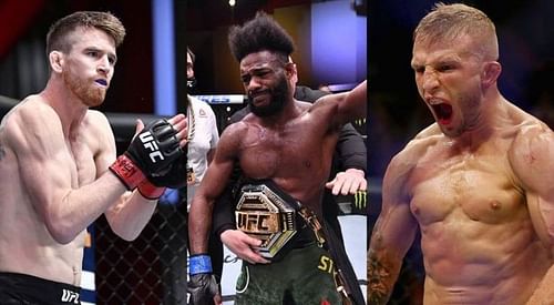 Cory Sandhagen (left); Aljamain Sterling (center); TJ Dillashaw (right)