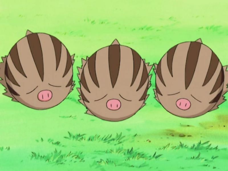 Swinubs (Image via The Pokemon Company)