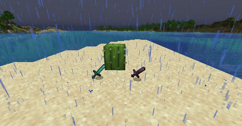 Two powerful swords that are close to being destroyed by a cactus block in Minecraft (Image via Minecraft)