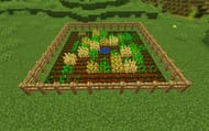Small Minecraft wheat farm (Image via 12tails)