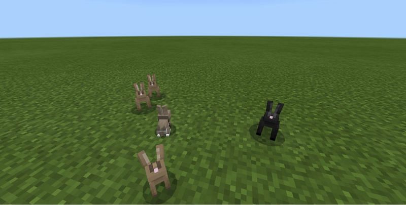Players can find these little creatures almost everywhere in Minecraft (Image via Mojang)