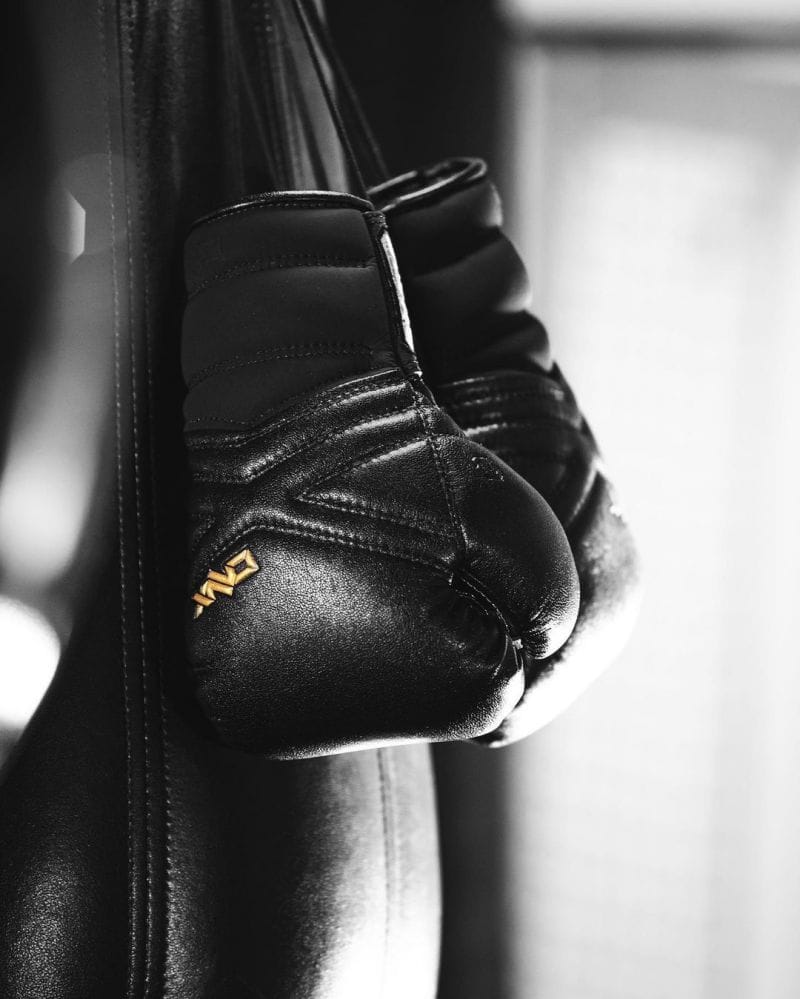 All you need to know about the MMA gloves proposed by coach Trevor Whittman