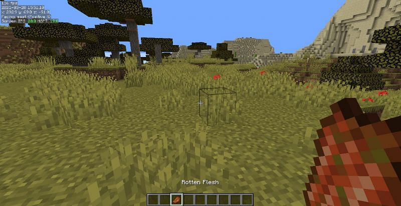 Image via Mojang Studios