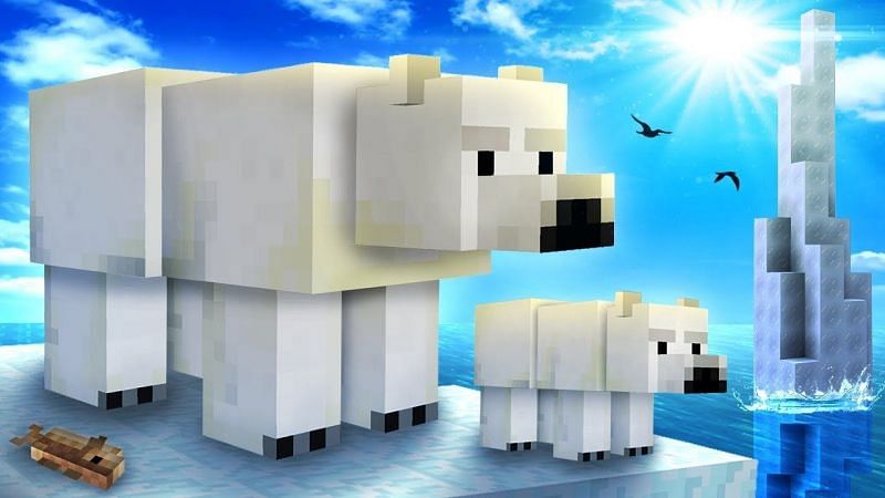 Polar bears (Image via YouTube)