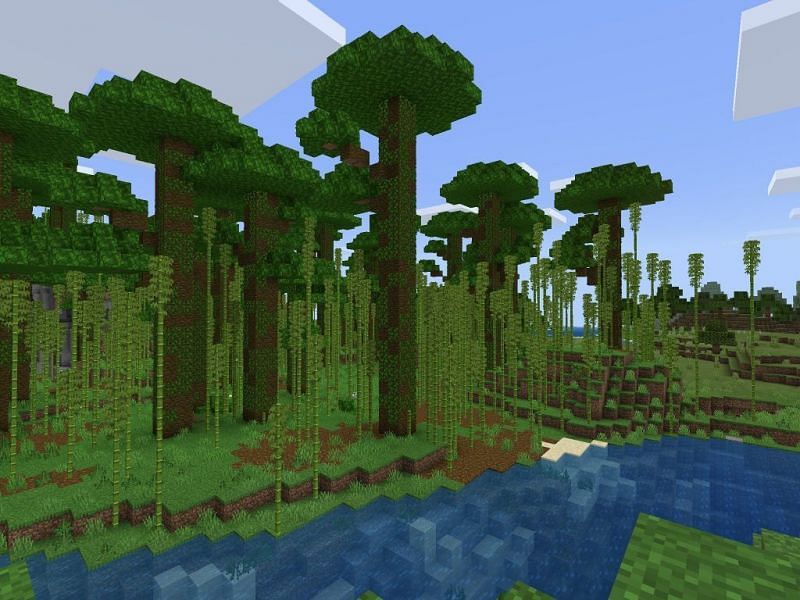 Bamboo Jungle (Image via minecraftseedhq.com)