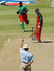 ग्रांट फ्लावर