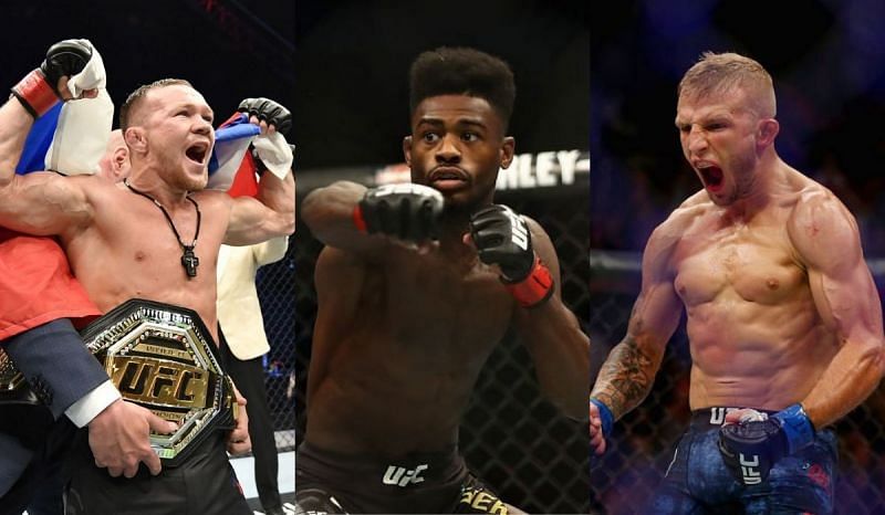 Petr Yan, Aljamain Sterling, and TJ Dillashaw