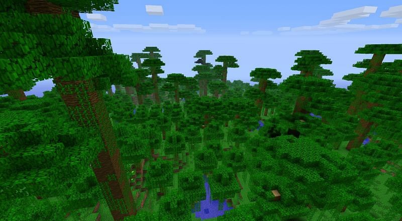 Jungle expanse (Image via 9minecraft.net)