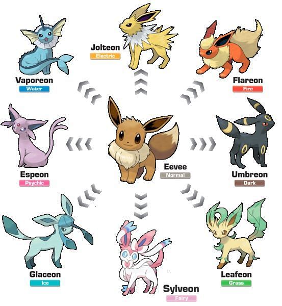 The eight currently known Eeveelutions (Image via Bulbapedia)